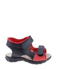 Sandalia-Papete-Bicolor-Azul-Marinho-8213243-Azul_Marinho_2