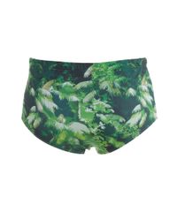 Sunga-Blue-Man-Folhagem-Verde-8164022-Verde_2