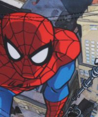 Sunga-Homem-Aranha-Preta-8269386-Preto_3