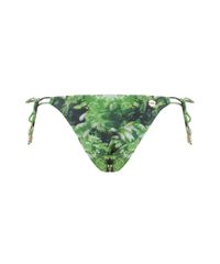 Biquini-Calcinha-Blue-Man-Folhagem-Verde-8143483-Verde_6