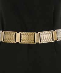 Cinto-com-Placas-Metalicas-Dourado-8134685-Dourado_2