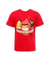 Camiseta-Angry-Birds-Vermelha-8204213-Vermelho_1 Camiseta-Angry-Birds-Vermelha-8204213-Vermelho_1