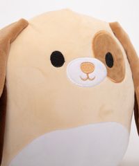 11005934_3 11005934_3