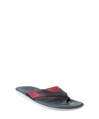 Chinelo-Cartago-Cinza-8128861-Cinza_1