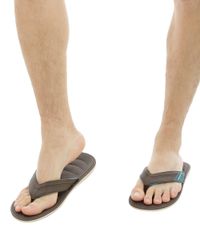 Chinelo-Cartago-Marrom-8129663-Marrom_5