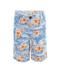 Bermuda-Tropical-Azul-7976966-Azul_1