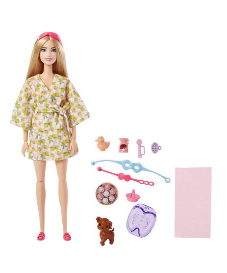 Boneca - Barbie - Cadeirante - Roupa Azul - Mattel - Ri Happy