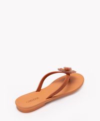 11331555_2 11331555_2