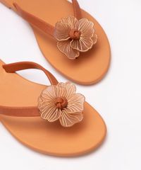 11331555_3 11331555_3