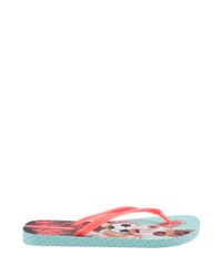 Chinelo-Ipanema-Cachorro-Verde-Agua-8227332-Verde_Agua_2
