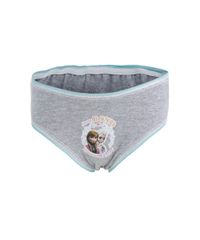 Kit-de-5-Calcinha-Frozen-Multicor-8247235-Multicor_2
