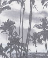 Regata-Coqueiros-Branca-8235357-Branco_4