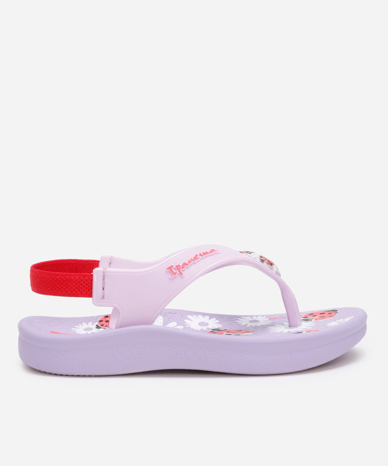 chinelo infantil com elástico joaninha ipanema lilás