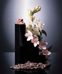 Perfume-Good-Girl-Carolina-Herrera-Feminino-Banner