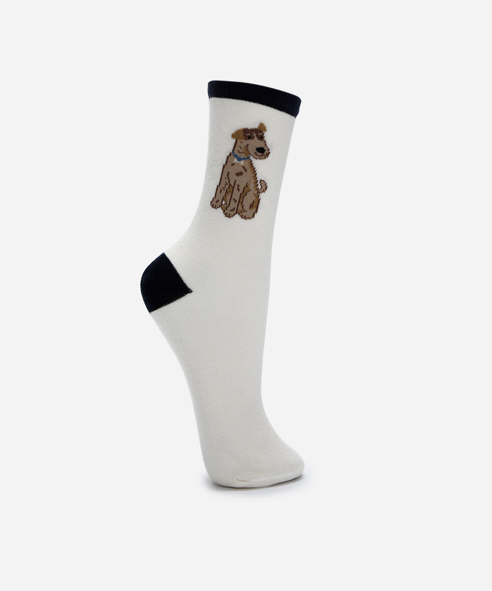 meia feminina cano alto cachorro off white
