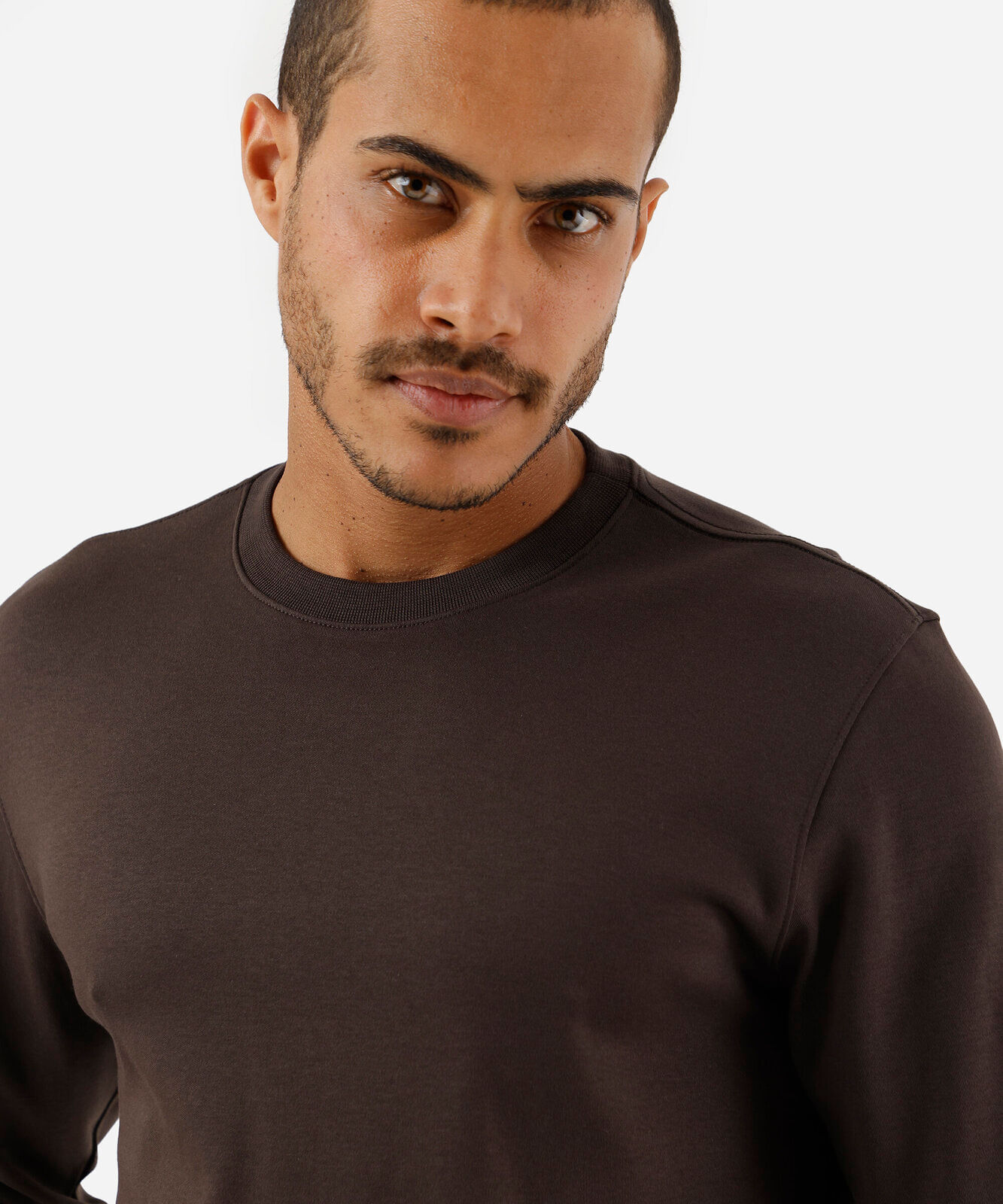 camiseta masculina de algodão peruano básica gola redonda marrom