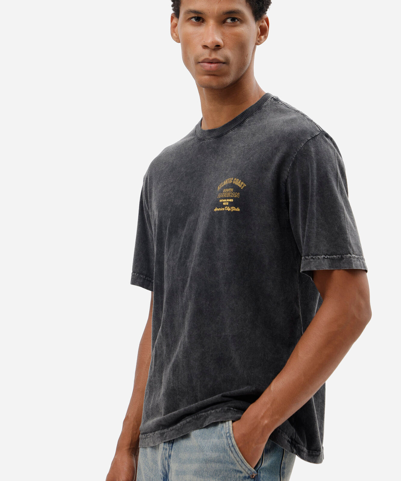 camiseta masculina de algodão manga curta estampada estonada cinza