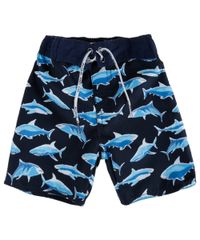 Bermuda-com-Estampa-de-Tubarao-Azul-7955184-Azul_1