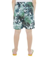 Bermuda-Tropical-Verde-7960995-Verde_2