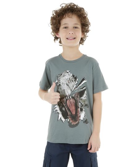 Camiseta-Jurassic-Park-Cinza-8270497-Cinza_1 Camiseta-Jurassic-Park-Cinza-8270497-Cinza_1
