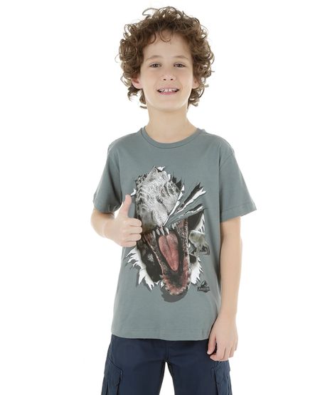 Camiseta-Jurassic-Park-Cinza-8270497-Cinza_1