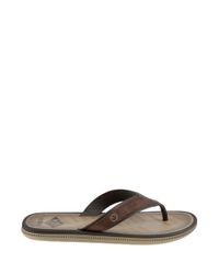 Chinelo-Cartago-Marrom-8129679-Marrom_2