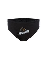 Kit-de-5-Cuecas-Angry-Birds-Multicor-8076228-Multicor_2 Kit-de-5-Cuecas-Angry-Birds-Multicor-8076228-Multicor_2