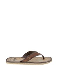 Chinelo-Cartago-Marrom-8252198-Marrom_2