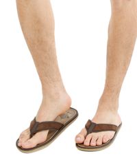Chinelo-Cartago-Marrom-8252198-Marrom_5