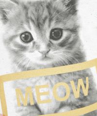Blusa--Meow--com-Renda-Off-White-8256381-Off_White_4