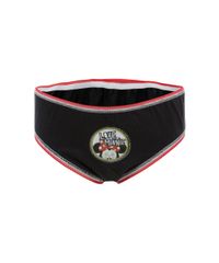 Kit-de-5-Calcinhas-Minnie-Multicor-8269274-Multicor_2