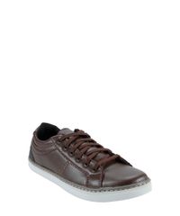 Sapatenis-com-Recortes-Marrom-8306679-Marrom_1 Sapatenis-com-Recortes-Marrom-8306679-Marrom_1