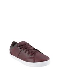 Sapatenis--Vinho-8291843-Vinho_1