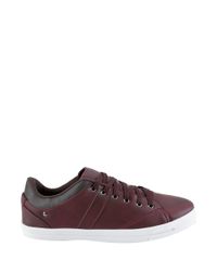 Sapatenis--Vinho-8291843-Vinho_2