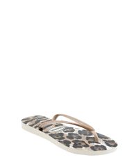 Chinelo-Havaianas-Animal-Print-Bege-8136898-Bege_1