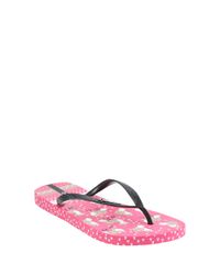 Chinelo-Ipanema-Estampado-Rosa-8227374-Rosa_1
