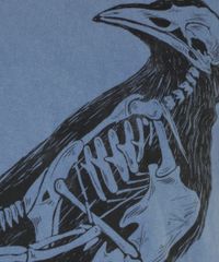 Camiseta-com-Passaro-Azul-8270850-Azul_4