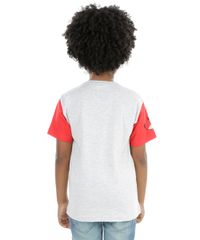 Camiseta-Angry-Birds-Cinza-Mescla-8274895-Cinza_Mescla_2