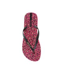 Chinelo-Ipanema-Animal-Print-Rosa-8145983-Rosa_4