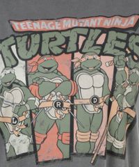 Blusa-Tartarugas-Ninjas-Cinza-8283649-Cinza_4
