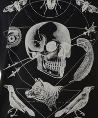 Camiseta-com-Estampa--Caveira--Preta-8271214-Preto_4