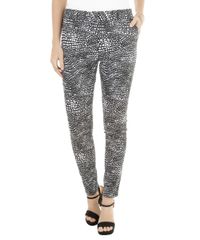Calca-Skinny-Estampada-Preta-8327713-Preto_1