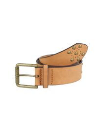 Cinto-com-Tachas-Marrom-Claro-8157921-Marrom_Claro_1