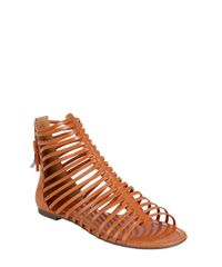 Rasteira-Gladiadora-Caramelo-8312000-Caramelo_1