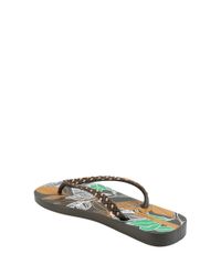 Chinelo-Ipanema-Floral-Preto-8334322-Preto_3