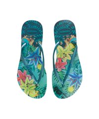 Chinelo-Havaianas-Tropical-Verde-8144947-Verde_4