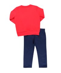 Conjunto-Blusao---Calca-em-Moletom-Angry-Birds-Vermelho-8327549-Vermelho_2