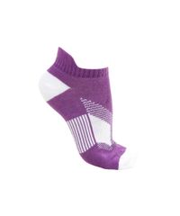 Kit-de-2-Pares-de-Meia-Soquete-Ace-Multicor-8330003-Multicor_2