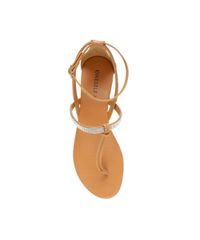 Rasteira-com-Brilho-Caramelo-8329545-Caramelo_4