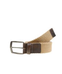 Cinto-Bege-8354289-Bege_1